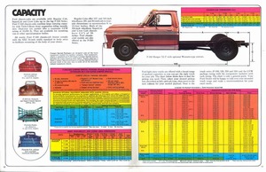 1976 Ford Pickups (Rev)-10-11.jpg